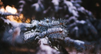 Топ-10 лучших событий в Екатеринбурге в выходные 22 и 23 ноября 2025 г.