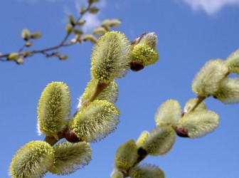 Топ-10 лучших событий в Екатеринбурге в выходные 4 и 5 апреля 2026 г.