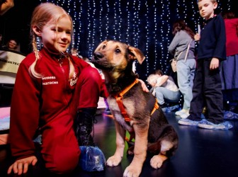 Бесплатное занятие зоошколы «Обнимаю лапами» - апрель 2026