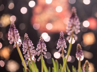 Топ-10 лучших событий в Екатеринбурге в выходные 18 и 19 апреля 2026 г.