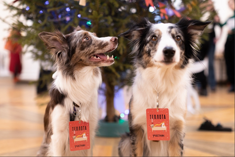 Фото: Максим Субботин