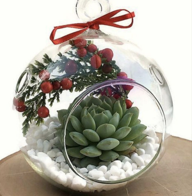 фото: vk.com/dendroparkekb