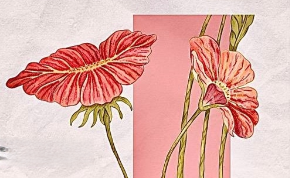 фото: vk.com/e_dkj