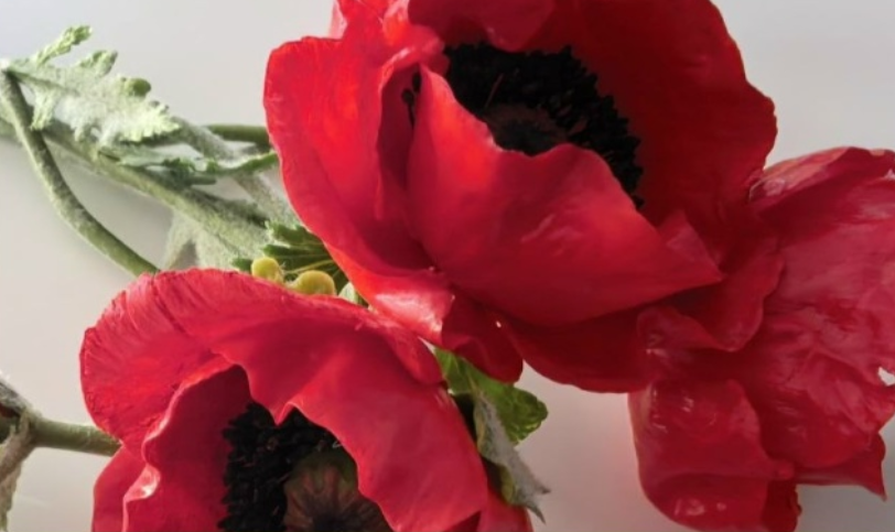 фото: vk.com/ekb_bce