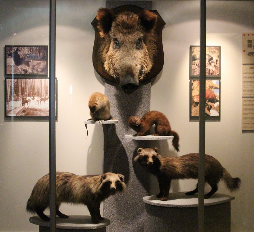 фото: uole-museum.ru