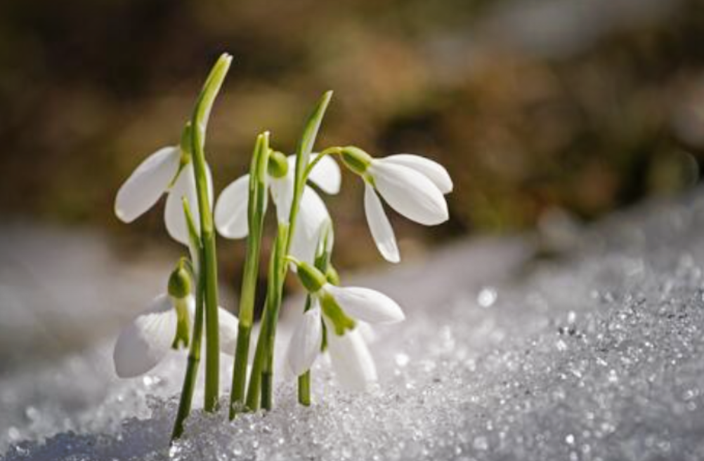 Топ-10 лучших событий в Екатеринбурге в выходные 14 и 15 марта 2026 г.