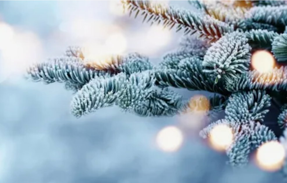 Бардовский фестиваль «Рождественские огни»