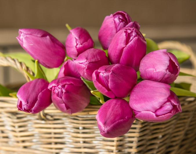 Топ-10 лучших событий в Екатеринбурге в выходные 7, 8 и 9 марта 2026 г.