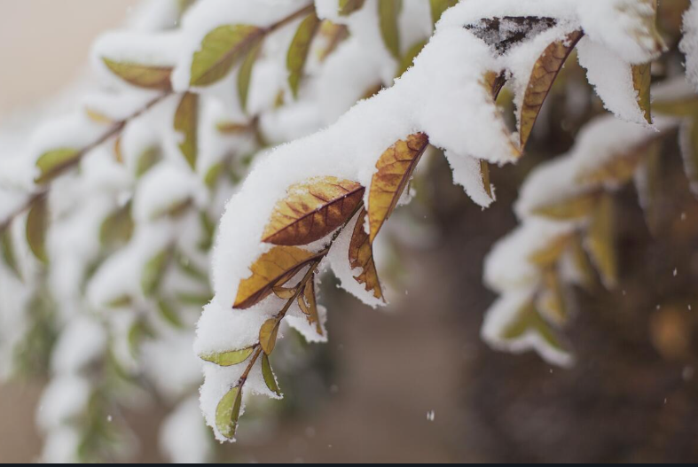 Топ-10 лучших событий в Екатеринбурге в выходные 8 и 9 ноября 2025 г.