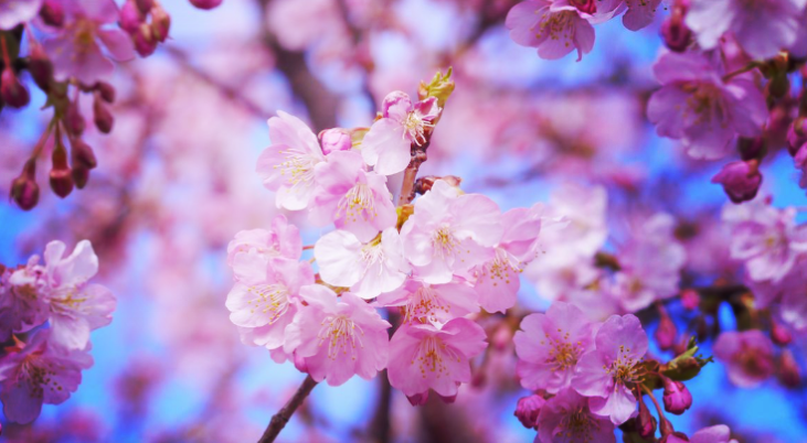 Топ-10 лучших событий в Екатеринбурге в выходные 1, 2 и 3 мая 2026 г.