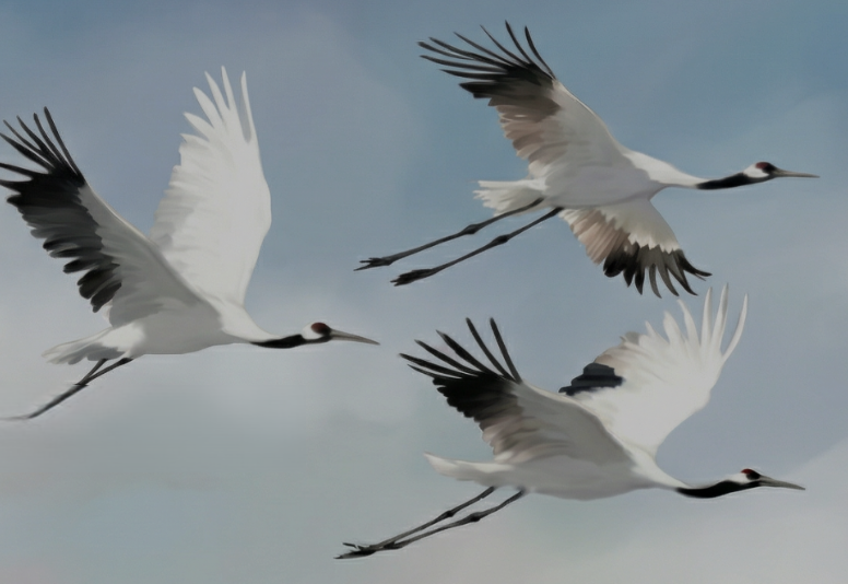 фото: uralopera.ru