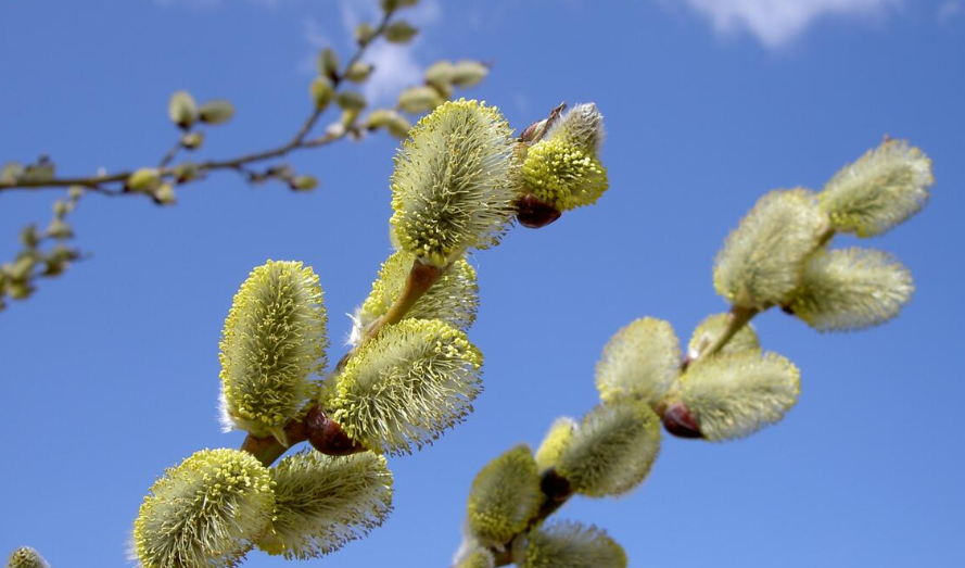 Топ-10 лучших событий в Екатеринбурге в выходные 4 и 5 апреля 2026 г.