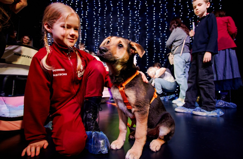 Фото: Максим Субботин