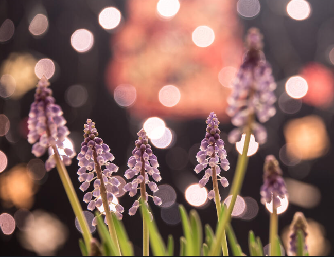 Топ-10 лучших событий в Екатеринбурге в выходные 18 и 19 апреля 2026 г.