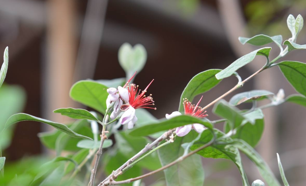 Афиша Дендропарка в Екатеринбурге — апрель 2026