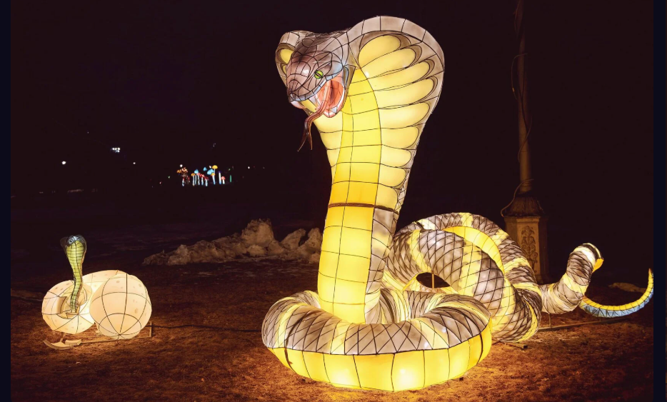 фото: fonarifest.ru