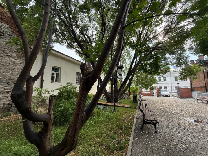 Фестиваль во дворе