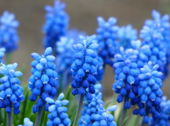 Топ-10 лучших событий в Екатеринбурге в выходные 25 и 26 апреля 2026 г.