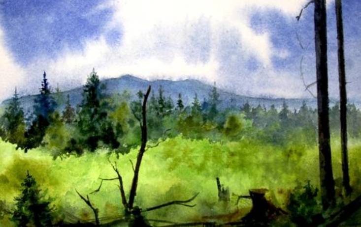 фото: book.uraic.ru