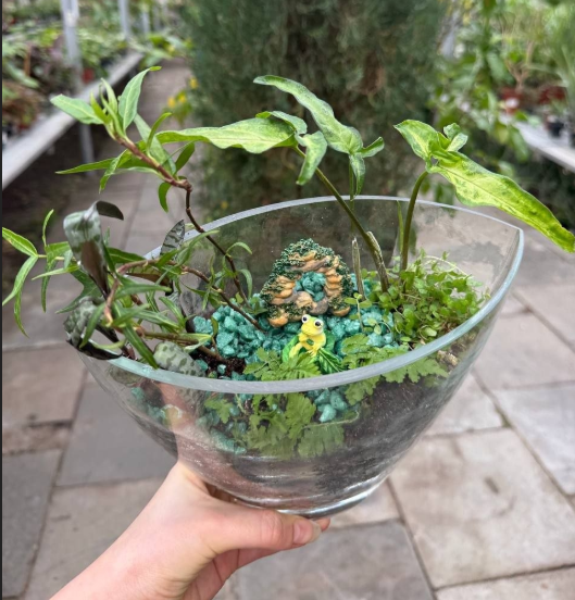 фото: vk.com/dendroparkekb