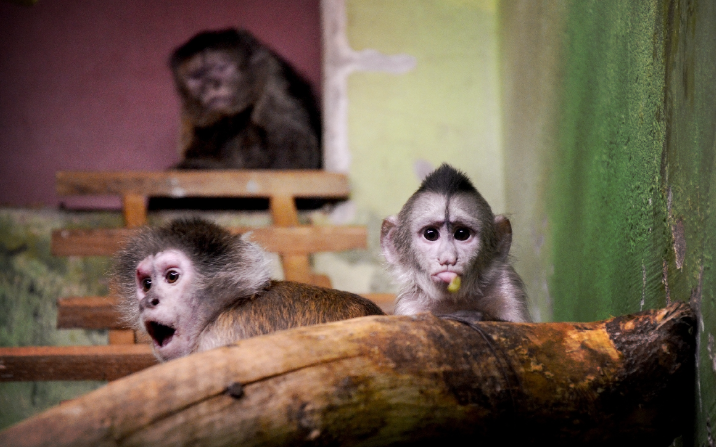 фото: зоопарк.екатеринбург.рф