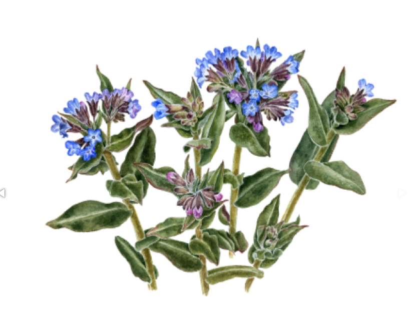 фото: uole-museum.ru