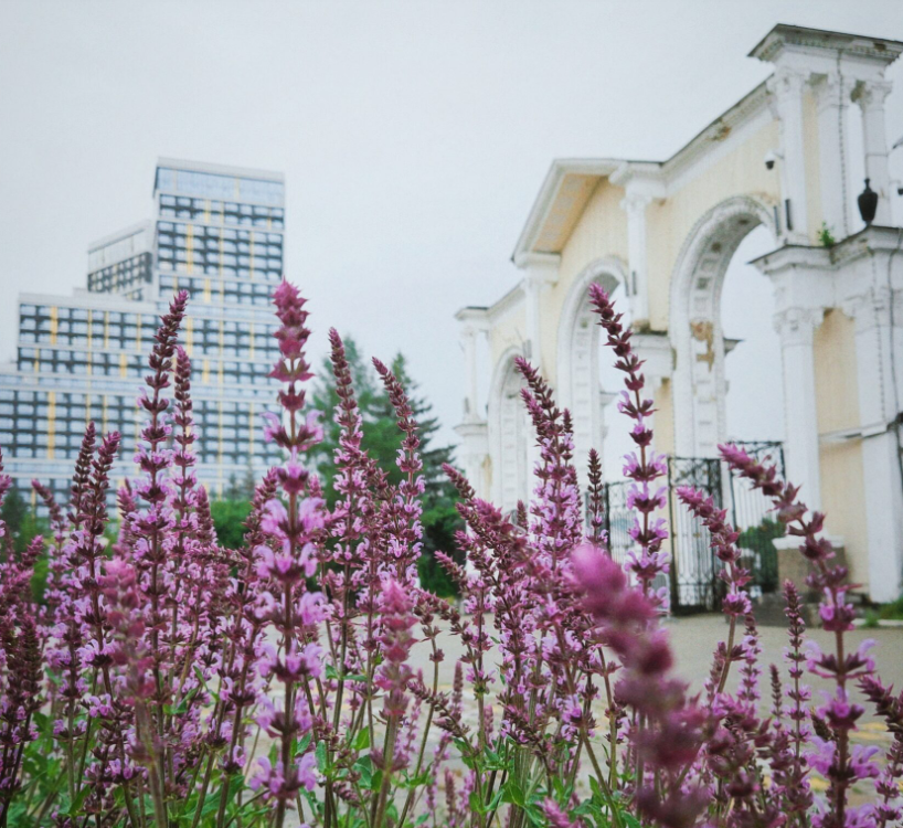 фото: ецпкио.рф
