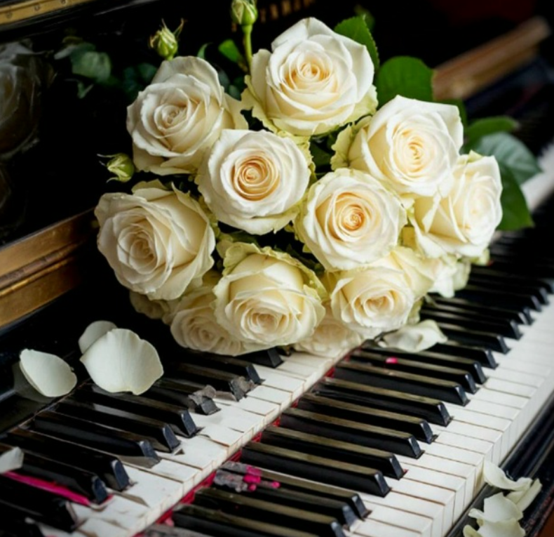 фото: vk.com/gercenkaekb