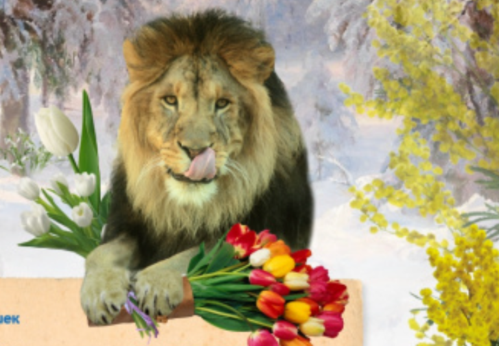 фото: зоопарк.екатеринбург.рф